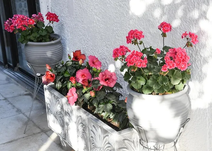 Apartament Angela Kremastí