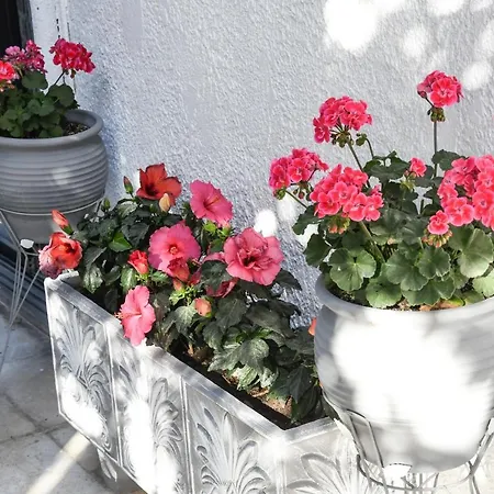 Apartamento Angela Kremastí